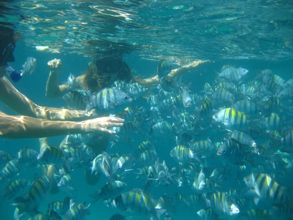 Pousada Recanto Dos Madda'S Paraty Buitenkant foto